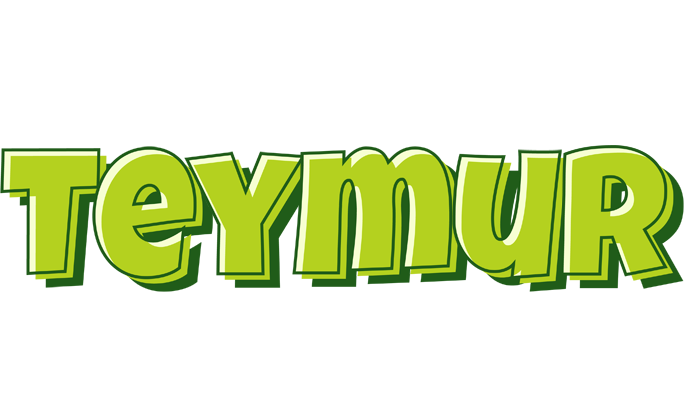 Teymur summer logo