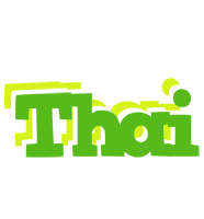 Thai picnic logo