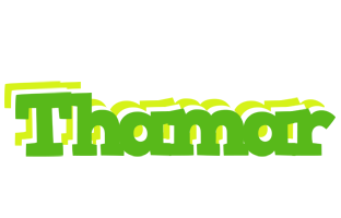 Thamar picnic logo