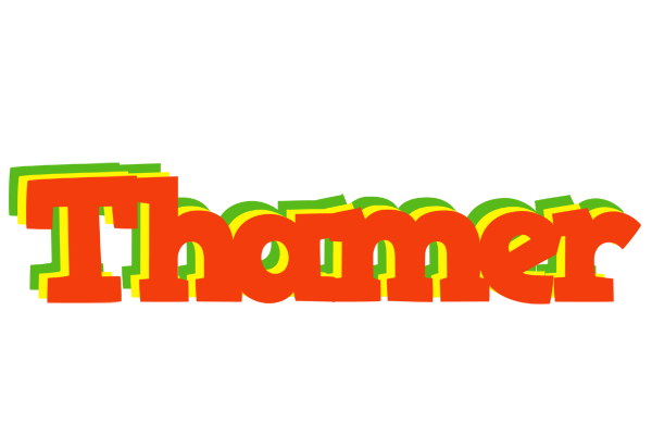 Thamer bbq logo