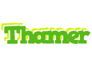 Thamer picnic logo