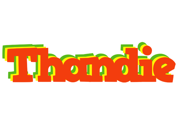 Thandie bbq logo