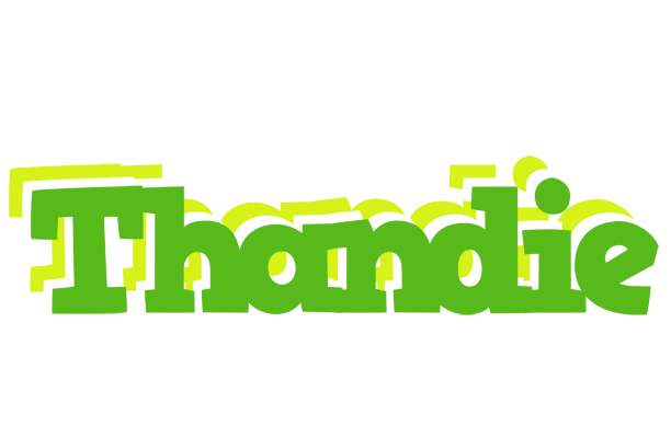 Thandie picnic logo