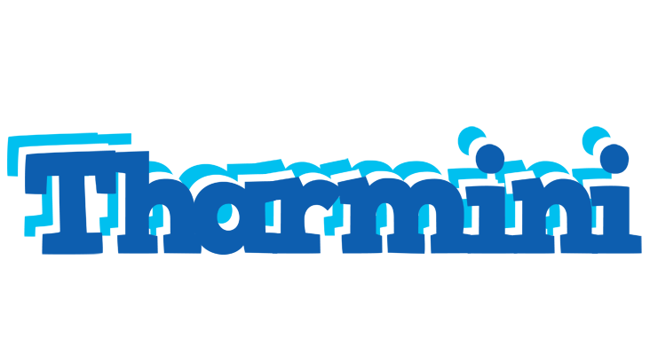 Tharmini business logo