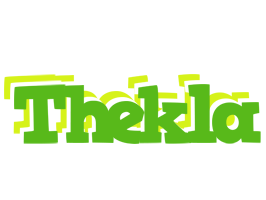 Thekla picnic logo