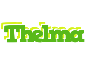 Thelma picnic logo