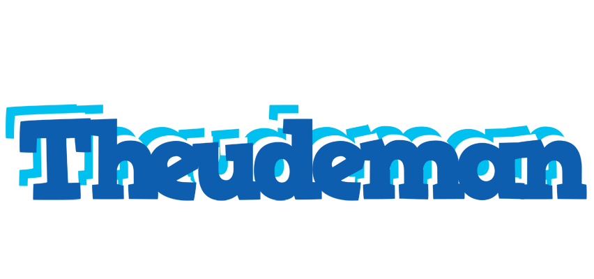 Theudeman business logo