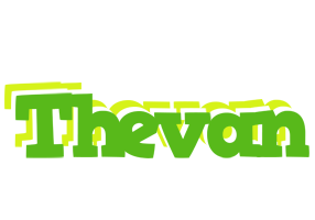 Thevan picnic logo