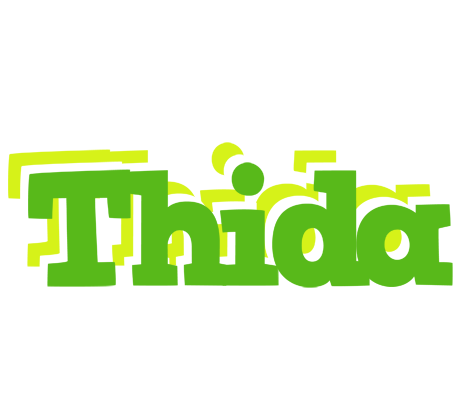 Thida picnic logo