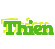 Thien picnic logo