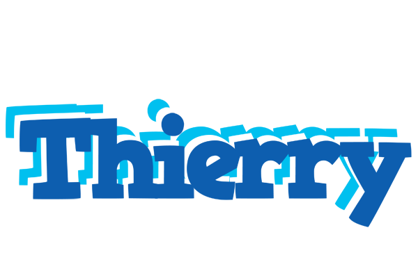 Thierry business logo