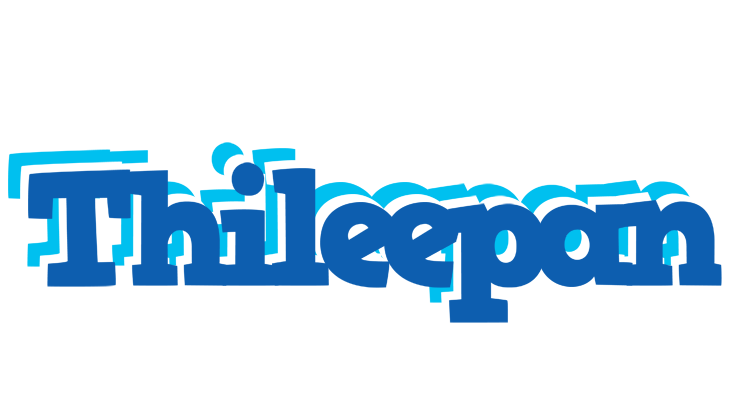 Thileepan business logo