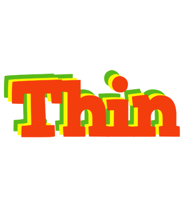 Thin bbq logo