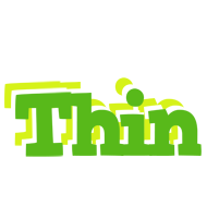 Thin picnic logo