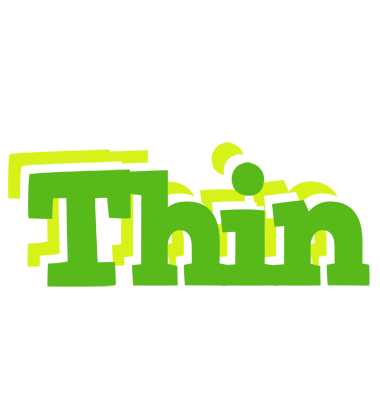 Thin picnic logo