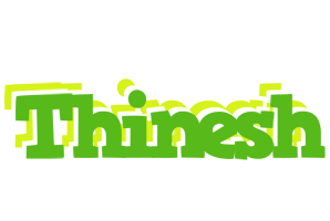 Thinesh picnic logo