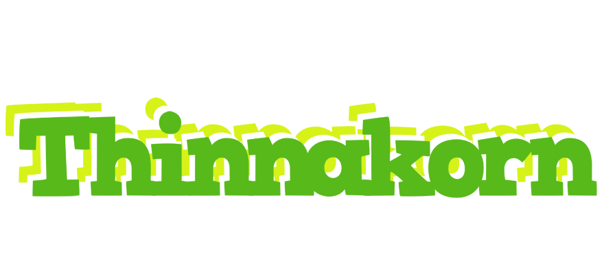 Thinnakorn picnic logo