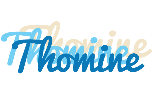 Thomine breeze logo