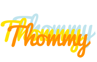 Thommy energy logo