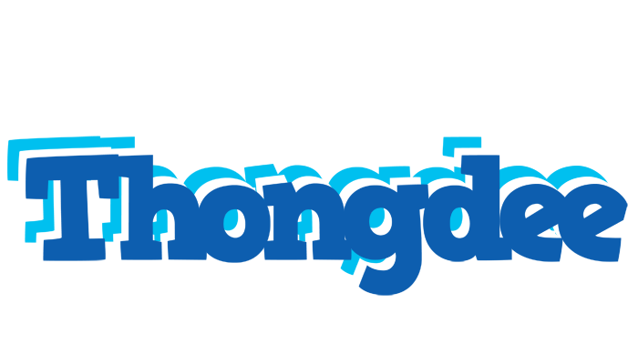 Thongdee business logo