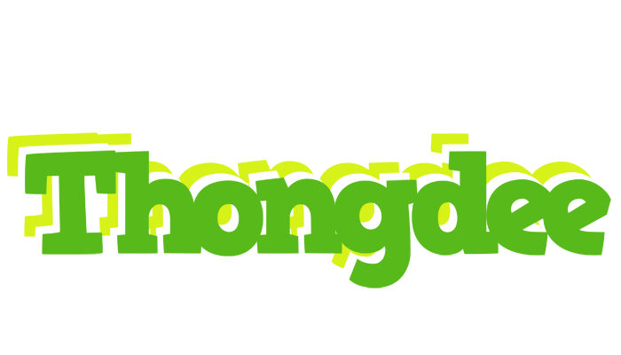 Thongdee picnic logo