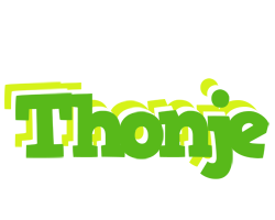 Thonje picnic logo