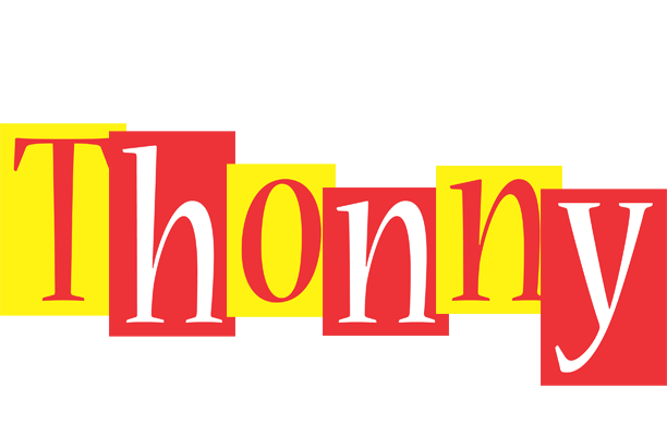 Thonny errors logo