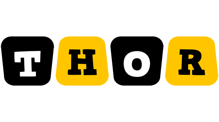 Thor boots logo