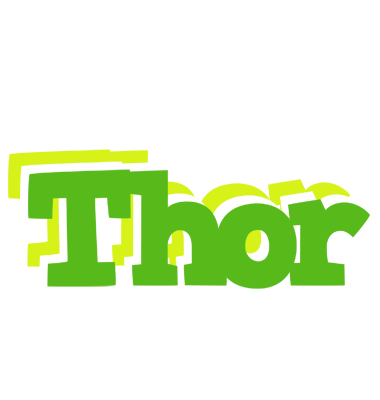 Thor picnic logo