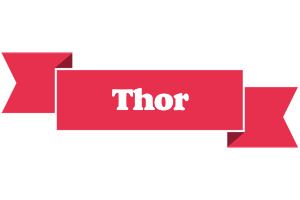 Thor sale logo
