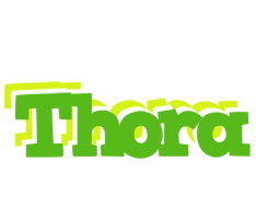 Thora picnic logo