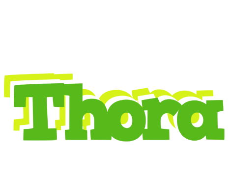 Thora picnic logo