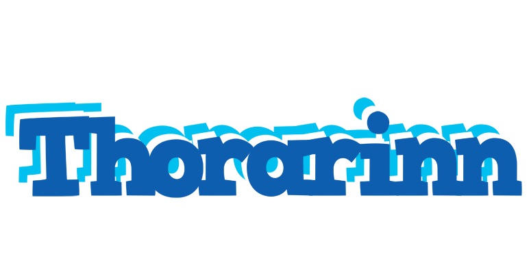 Thorarinn business logo