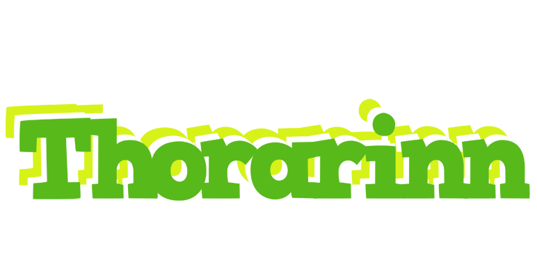 Thorarinn picnic logo