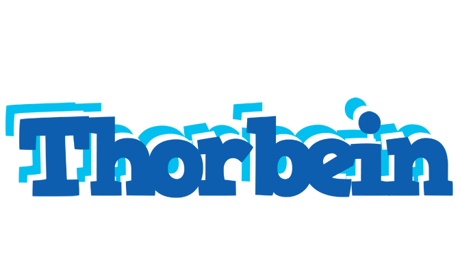 Thorbein business logo