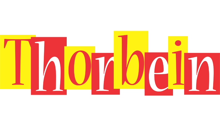 Thorbein errors logo