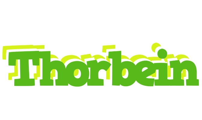Thorbein picnic logo
