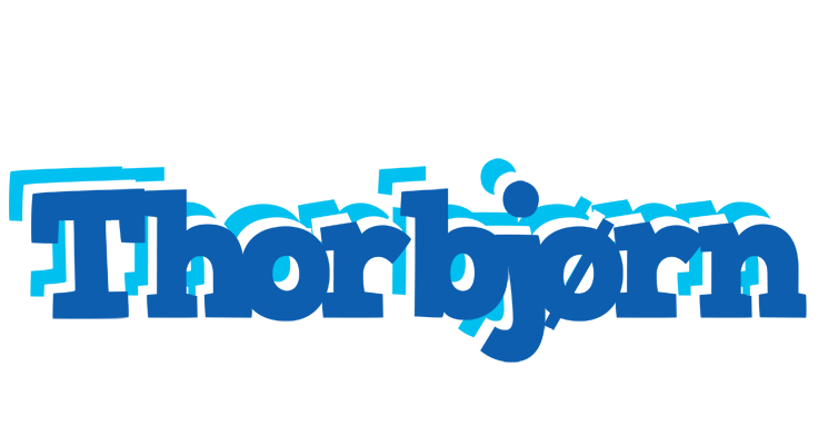 Thorbjørn business logo