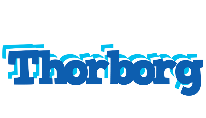 Thorborg business logo