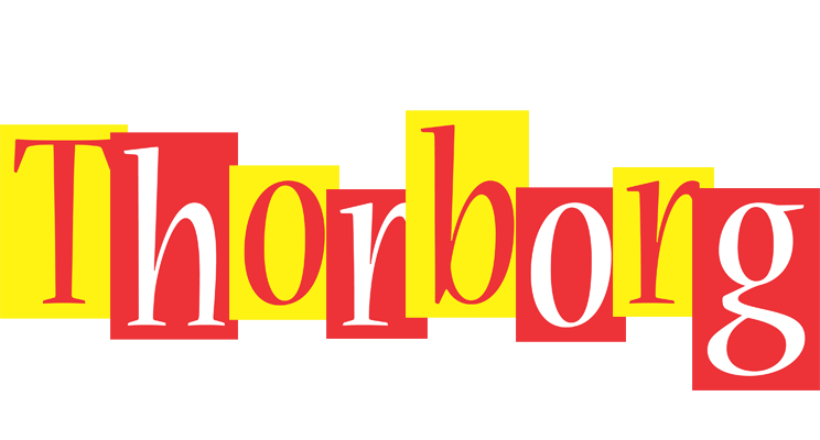 Thorborg errors logo