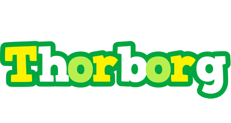Thorborg soccer logo