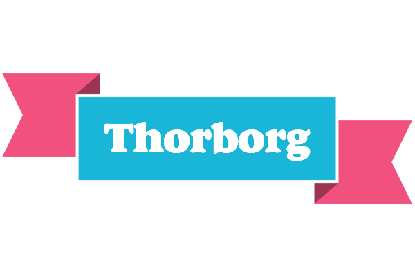 Thorborg today logo