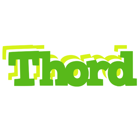 Thord picnic logo