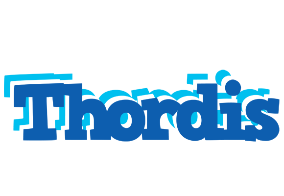 Thordis business logo