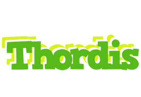 Thordis picnic logo