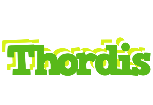 Thordis picnic logo