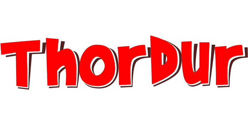 Thordur basket logo
