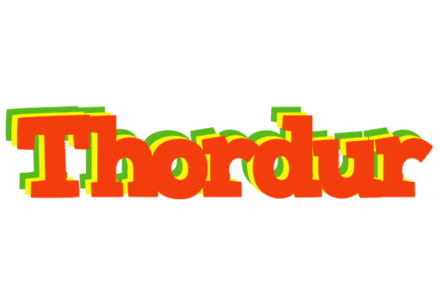 Thordur bbq logo