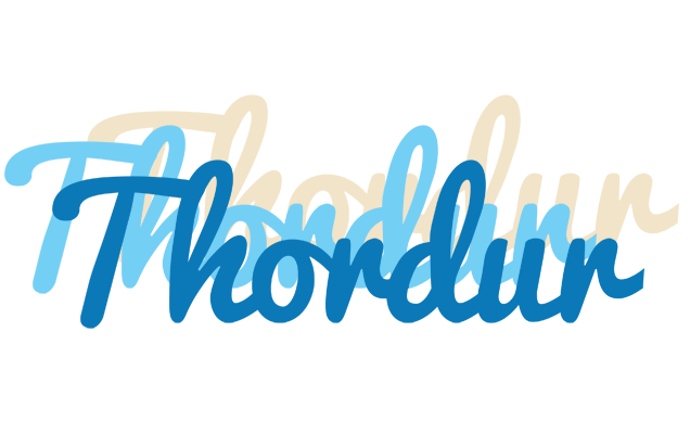 Thordur breeze logo