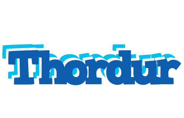 Thordur business logo